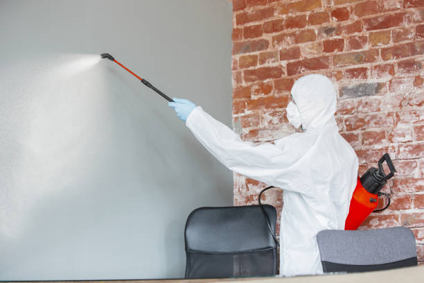 Best Mold Documentation for Insurance Claims  in Indian Springs Village, AL