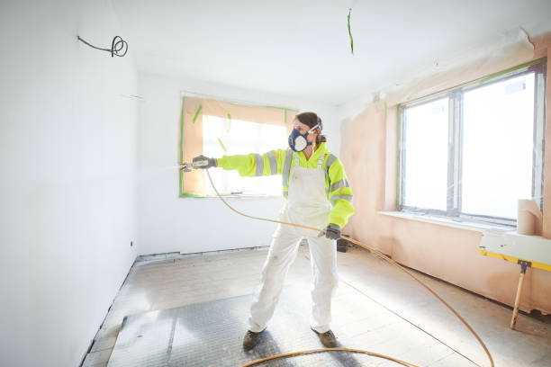 Best Emergency Mold Remediation  in Indian Springs Village, AL