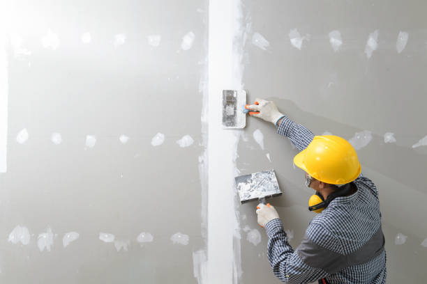 Best Mold Damage Restoration  in Indian Springs Village, AL