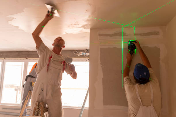 Best Air Quality Testing for Mold Spores  in Indian Springs Village, AL