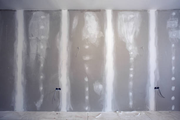 Best Mold Prevention Services  in Indian Springs Village, AL